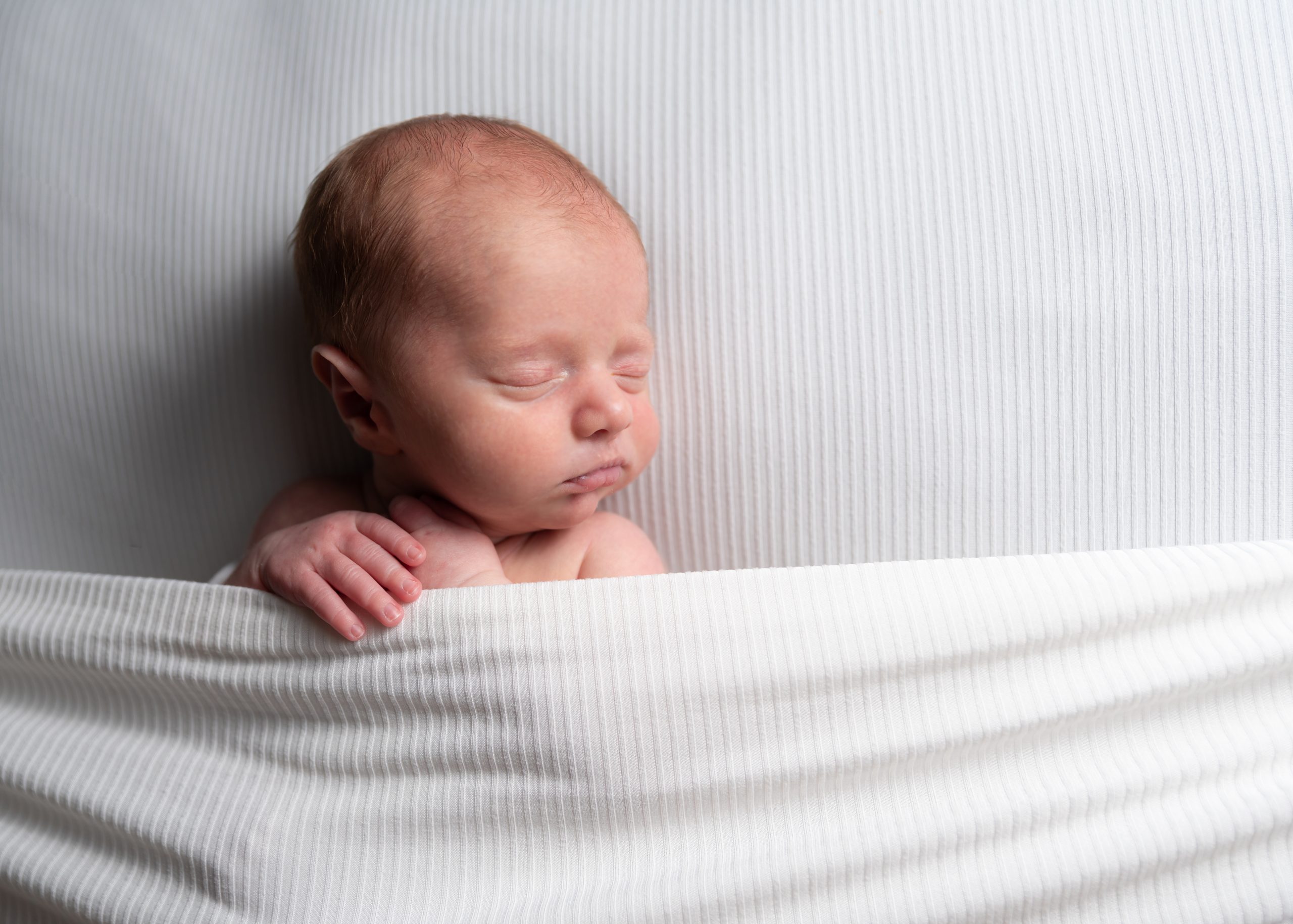 newborn studio photography